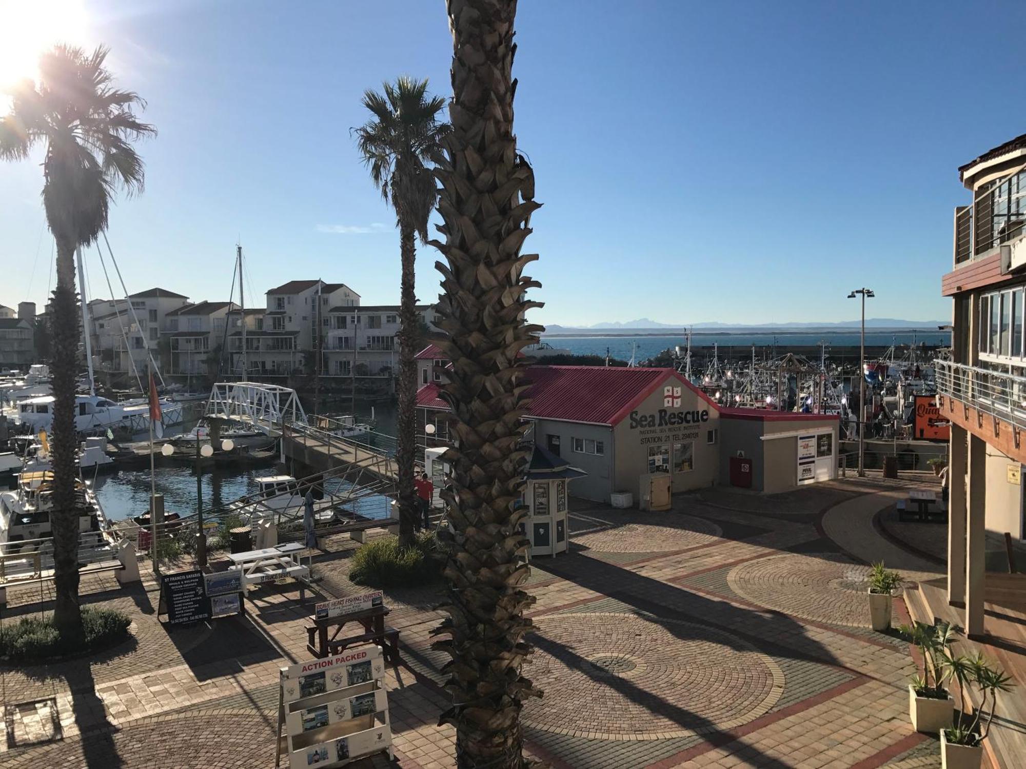 Appartamento Ships Bell At Port St Francis St Francis Bay Esterno foto